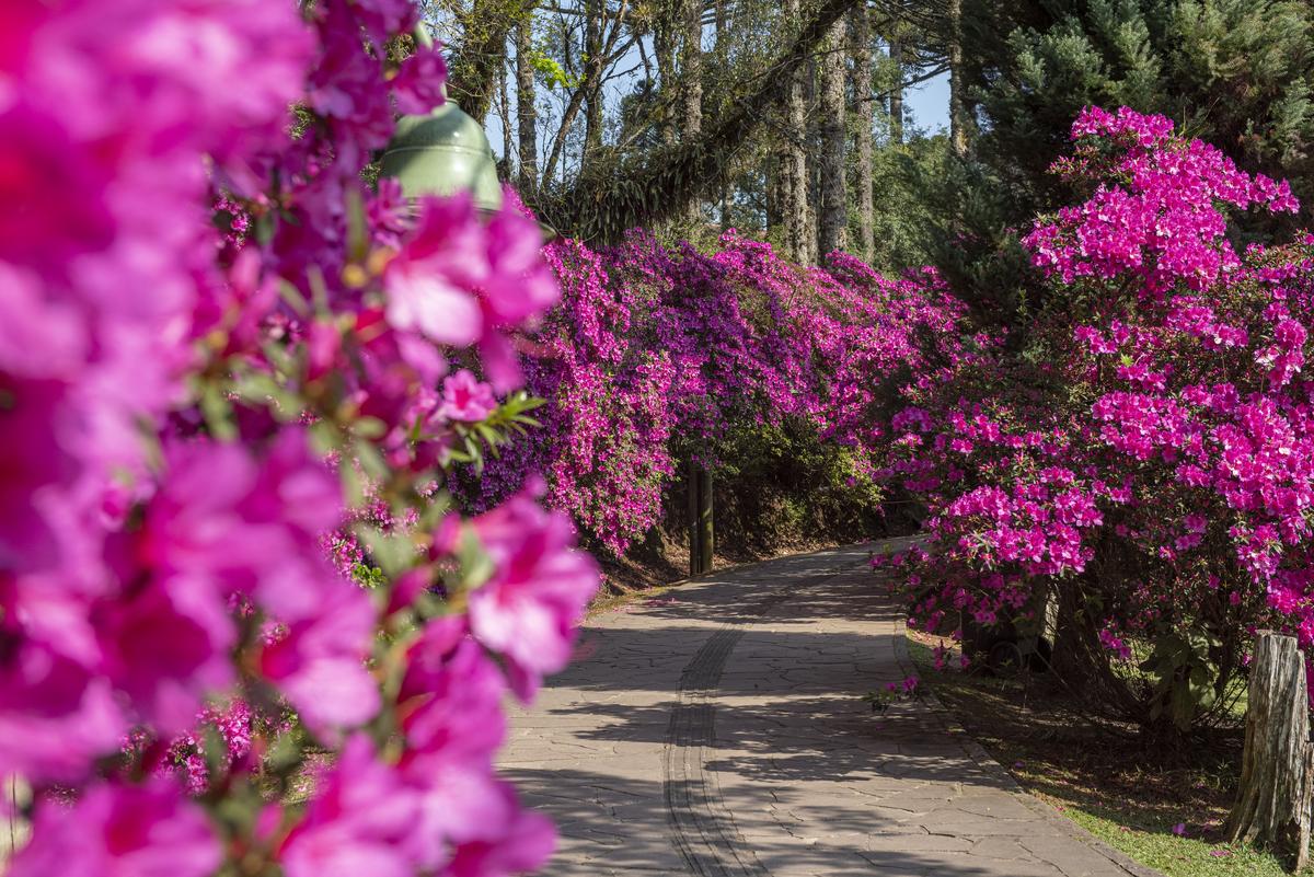 Imagem de um canteiro de obras em Gramado com trabalhadores e maquinário em ação, destacando a beleza arquitetônica única da região.